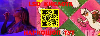индика Кунгур