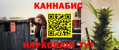 индика Кунгур