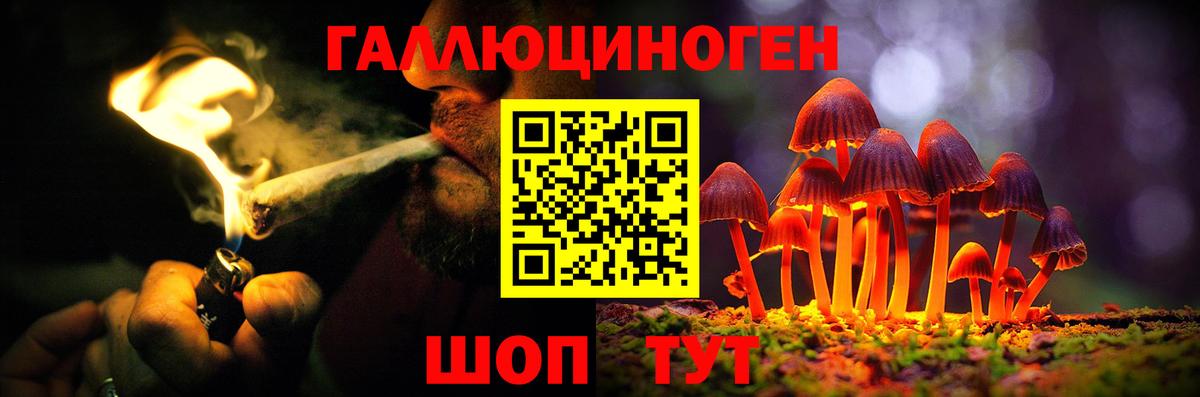 Галлюциногенные грибы ЛСД Ефремов